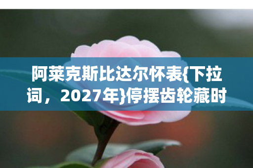 阿莱克斯比达尔怀表{下拉词，2027年}停摆齿轮藏时间悬案？