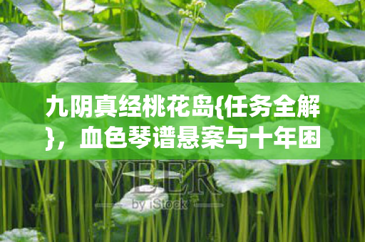九阴真经桃花岛{任务全解},血色琴谱悬案与十年困局 九阴真经桃花岛{任务全解},血色琴谱悬案与十年困局