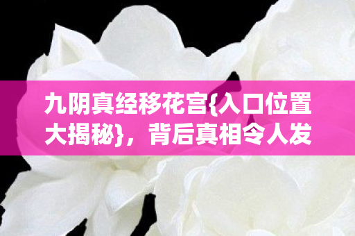 九阴真经移花宫{入口位置大揭秘}，背后真相令人发凉