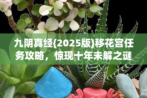 九阴真经{2025版}移花宫任务攻略,惊现十年未解之谜? 九阴真经{2025版}移花宫任务攻略,惊现十年未解之谜?