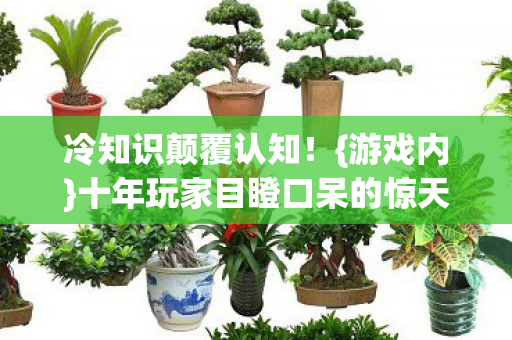 十年玩家目瞪口呆的惊天秘密图片
