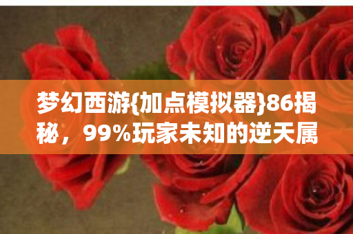 玩家未知的逆天属性图片