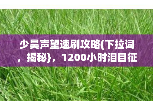 1200小时泪目征程解析图片