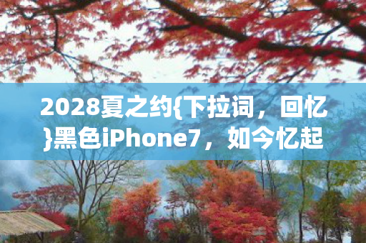 黑色iPhone7图片