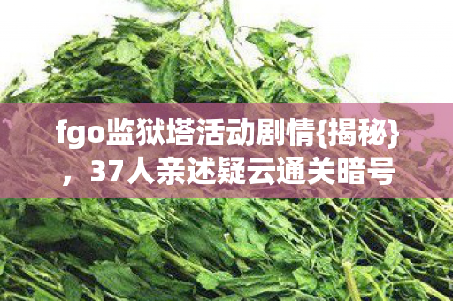 37人亲述疑云通关暗号图片