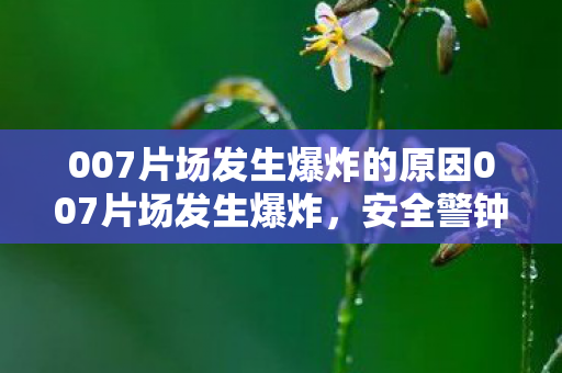 007片场发生爆炸的原因007片场发生爆炸图片