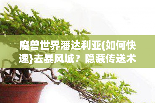 魔兽世界潘达利亚{如何快速}去暴风城？隐藏传送术揭秘