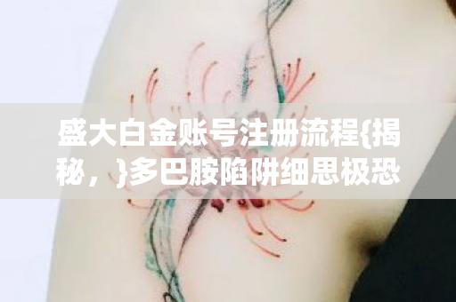 盛大白金账号注册流程图片