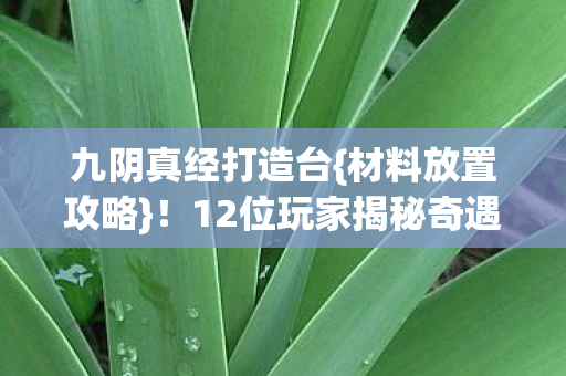 12位玩家揭秘奇遇玄机图片