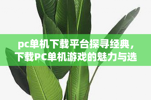 下载PC单机游戏的魅力与选择图片