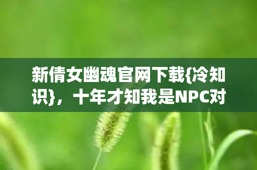 十年才知我是NPC对照组图片
