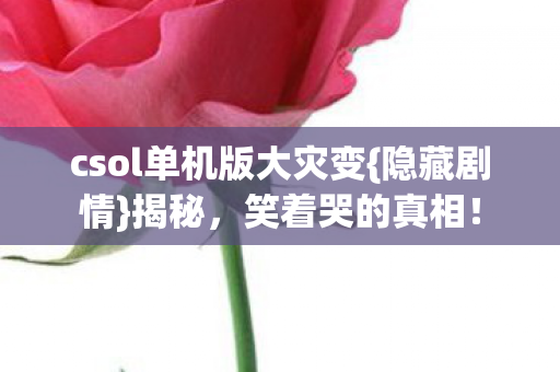 csol单机版大灾变图片