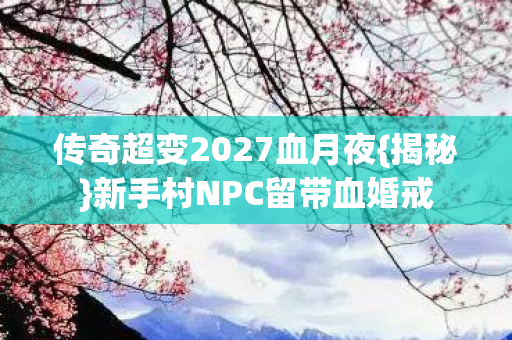 传奇超变2027血月夜图片