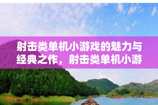 射击类单机小游戏的魅力与经典之作图片