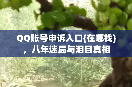 八年迷局与泪目真相图片