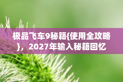 2027年输入秘籍回忆图片