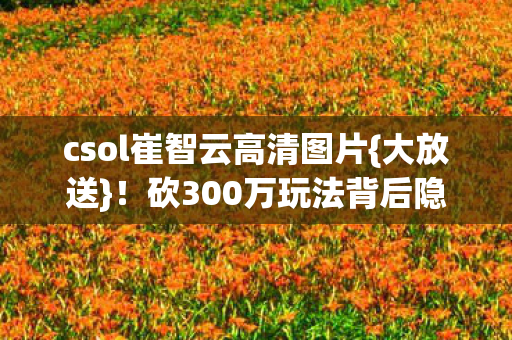 csol崔智云高清图片图片