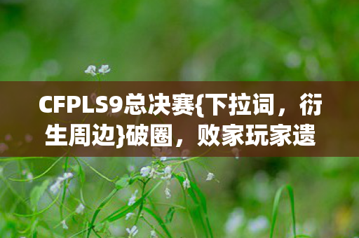 败家玩家遗物计划揭秘图片