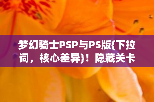 梦幻骑士PSP与PS版图片