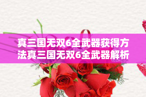 真三国无双6全武器获得方法真三国无双6全武器解析,掌握战斗艺术的精髓,真三国无双6全武器解析,掌握战斗艺术的精髓 真三国无双6全武器获得方法真三国无双6全武器解析,掌握战斗艺术的精髓,真三国无双6全武器解析,掌握战斗艺术的精髓
