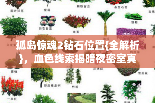 血色线索揭暗夜密室真相图片