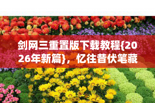 剑网三重置版下载教程图片
