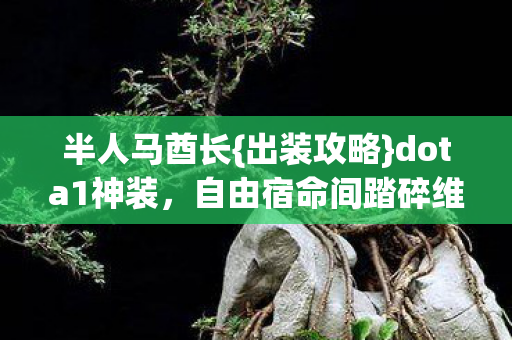 自由宿命间踏碎维度图片