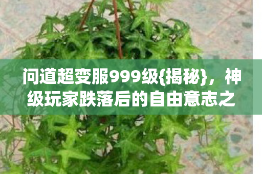 问道超变服999级{揭秘}，神级玩家跌落后的自由意志之困