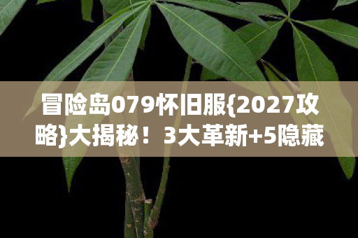 冒险岛079怀旧服图片