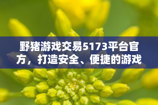 野猪游戏交易5173平台官方图片