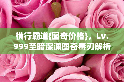 999至暗深渊图奇毒刃解析图片