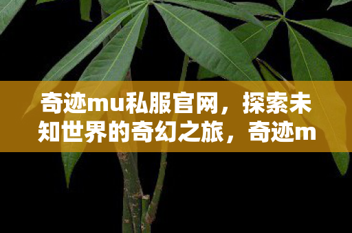 探索未知世界的奇幻之旅图片