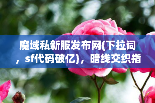 魔域私新服发布网图片