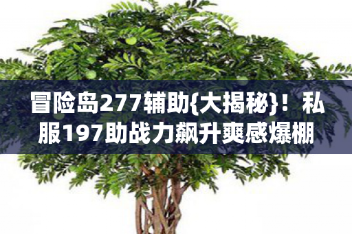 私服197助战力飙升爽感爆棚图片