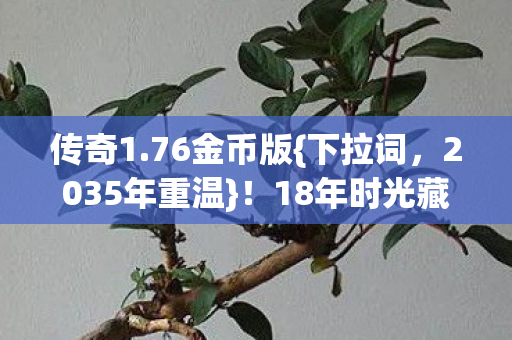 18年时光藏惊天秘图片