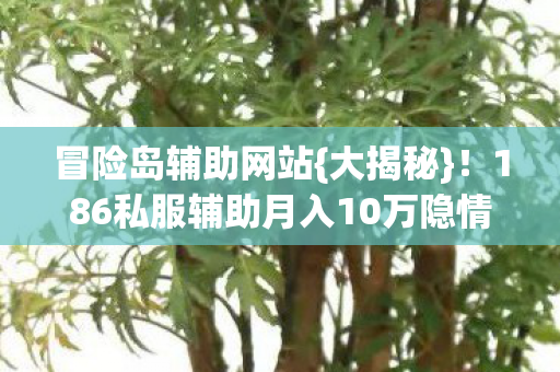 186私服辅助月入10万隐情图片
