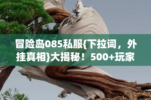 冒险岛085私服图片
