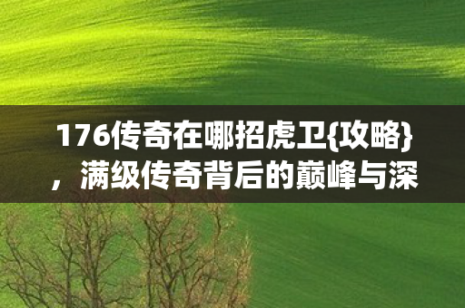 176传奇在哪招虎卫{攻略},满级传奇背后的巅峰与深渊 176传奇在哪招虎卫{攻略},满级传奇背后的巅峰与深渊