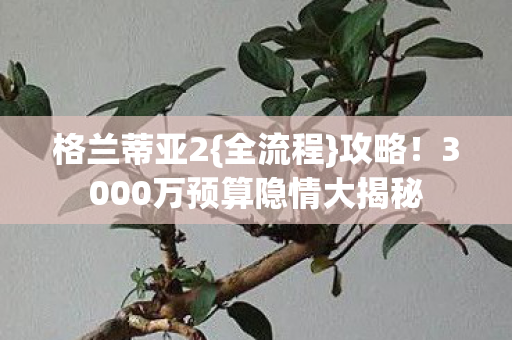 格兰蒂亚2{全流程}攻略!3000万预算隐情大揭秘 格兰蒂亚2{全流程}攻略!3000万预算隐情大揭秘