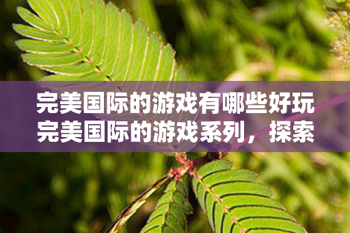 完美国际的游戏有哪些好玩完美国际的游戏系列图片