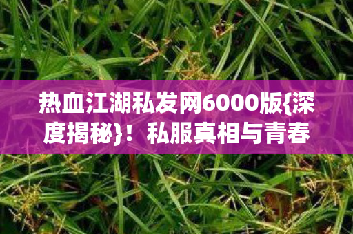 热血江湖私发网6000版{深度揭秘}!私服真相与青春回忆 热血江湖私发网6000版{深度揭秘}!私服真相与青春回忆