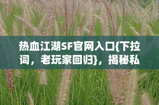 热血江湖SF官网入口{下拉词，老玩家回归}，揭秘私服逆天玩法！