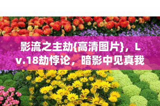 暗影中见真我图片