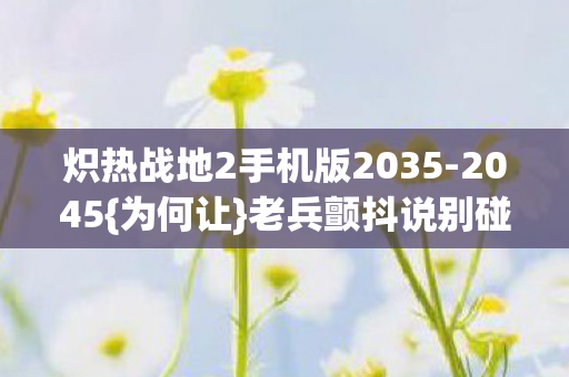 炽热战地2手机版2035图片