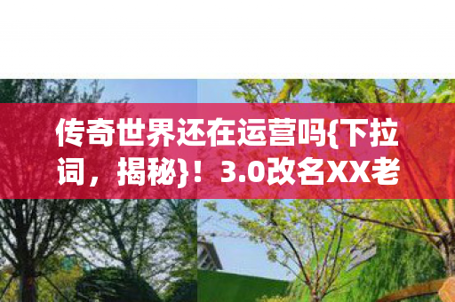 传奇世界还在运营吗{下拉词，揭秘}！3.0改名XX老玩家破防真相
