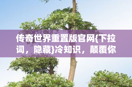传奇世界重置版官网{下拉词，隐藏}冷知识，颠覆你的认知！