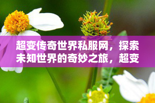 开启探索未知世界的奇妙之旅图片