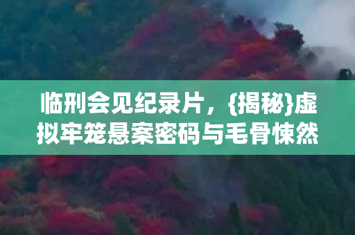虚拟牢笼悬案密码与毛骨悚然回响图片