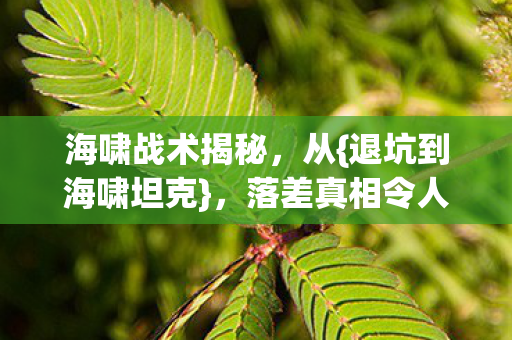 海啸战术揭秘，从{退坑到海啸坦克}，落差真相令人动容