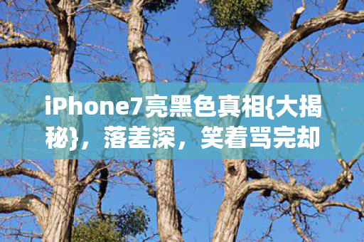 iPhone7亮黑色真相图片